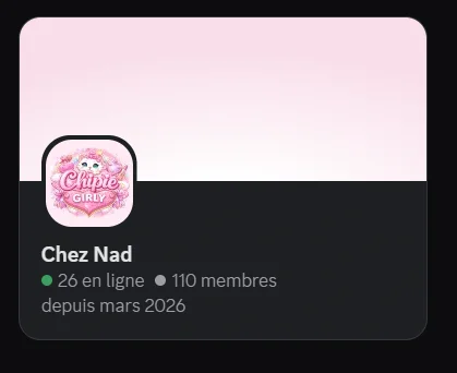 Aperçu général du serveur Nadouli