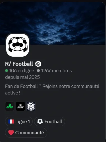 Aperçu général du serveur R/Football