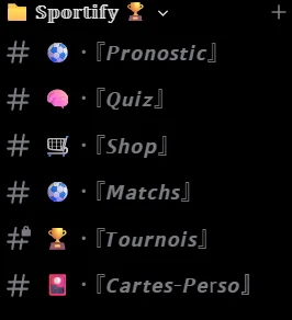 Aperçu général Sportify